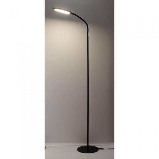 Staande lamp met zwanenhals 