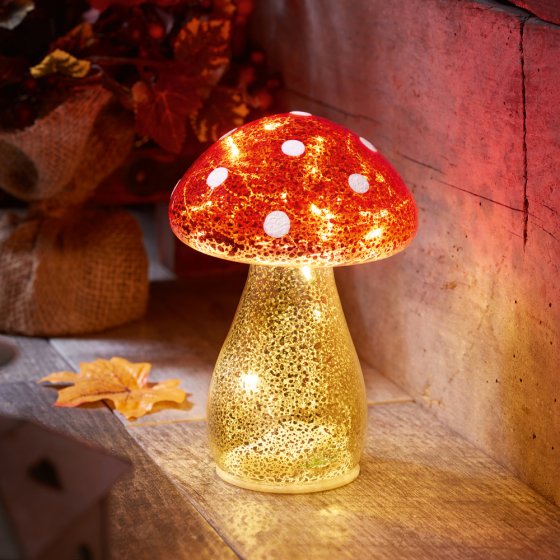 Lichtgevende glazen paddenstoelen - set van 2 