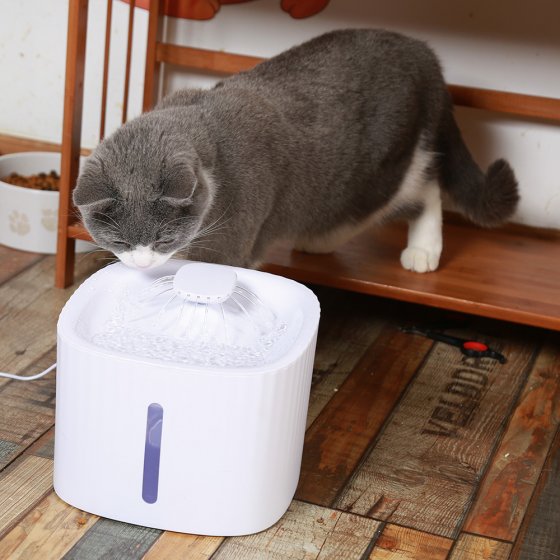 Automatische drinkfontein voor huisdieren 